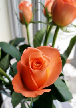 2014-11-10 21.54.49.jpg image