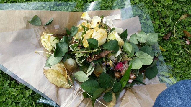 20141110_120431.jpg image